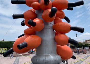 Exposiciones que exaltan la pluralidad de voces, en el MACQ