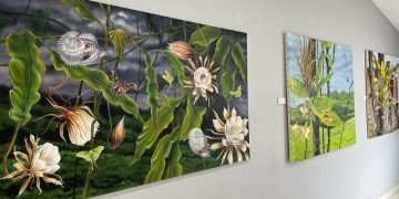 Museo Comunitario de Pinal de Amoles abre sus puertas al artista neerlandés Jasper de Gelder