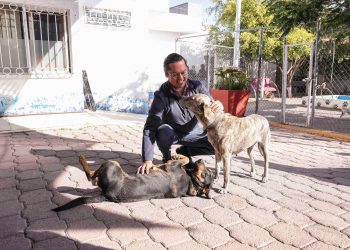 Chepe Guerrero anuncia construcción de nueva Clínica Veterinaria en Corregidora