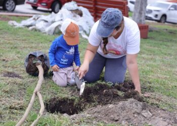 Corregidora celebra el Día del Árbol con reforestación y donación de cientos de ejemplares